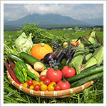 季節の野菜イメージ