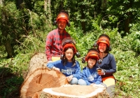 伐採後の感動！